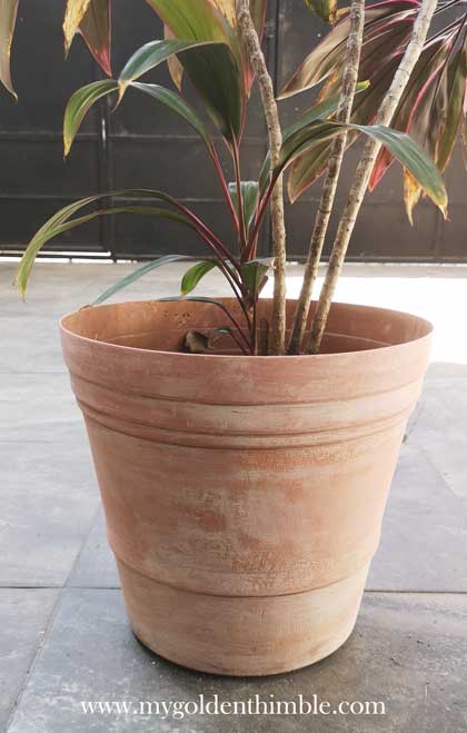 Plant Pot Decoration