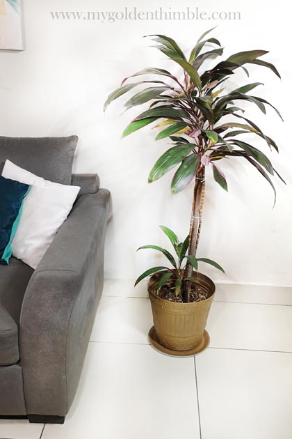 Indoor Plant Pot Decoration