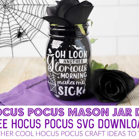 55+ Hocus Pocus Crafts and DIY Halloween Decor Ideas.