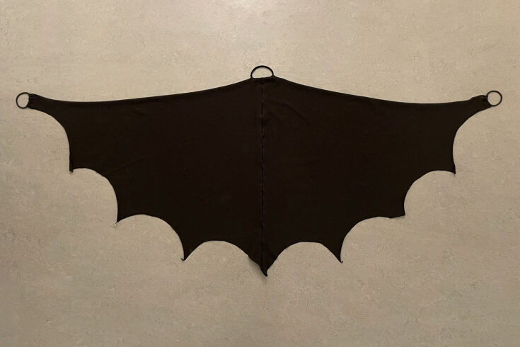 Image for DIY bat costume