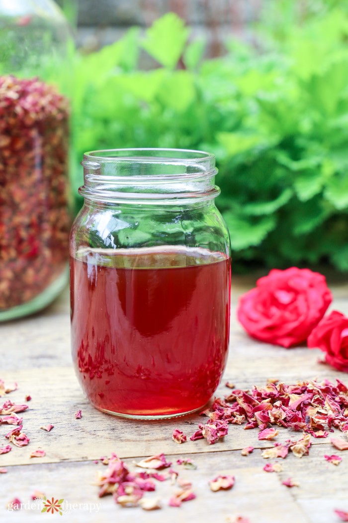 Image for How to Make Rose Water (+ How to Use It)