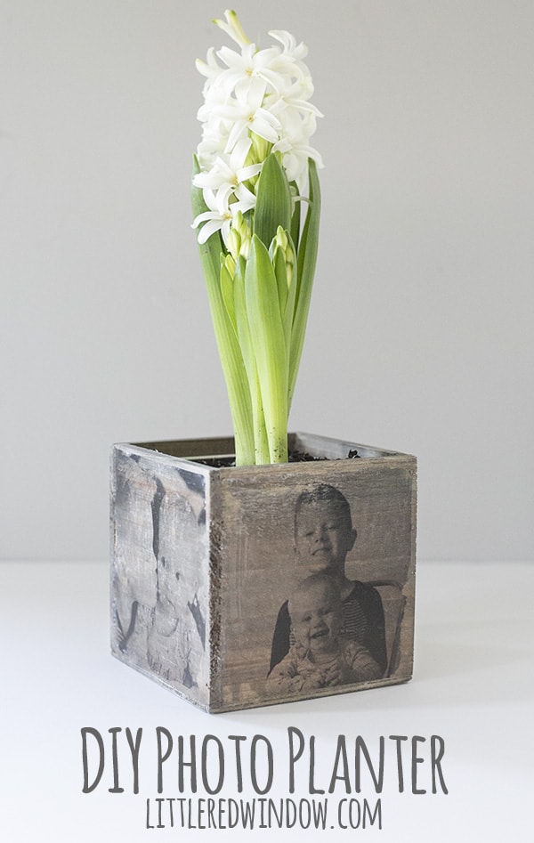 Image for DIY Mother’s Day Photo Planter