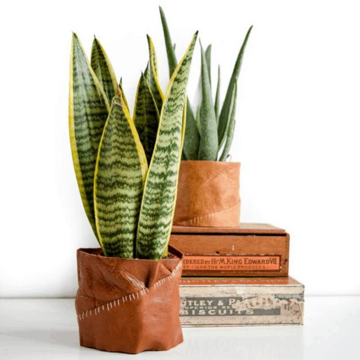 Image for DIY leather plant pot holder