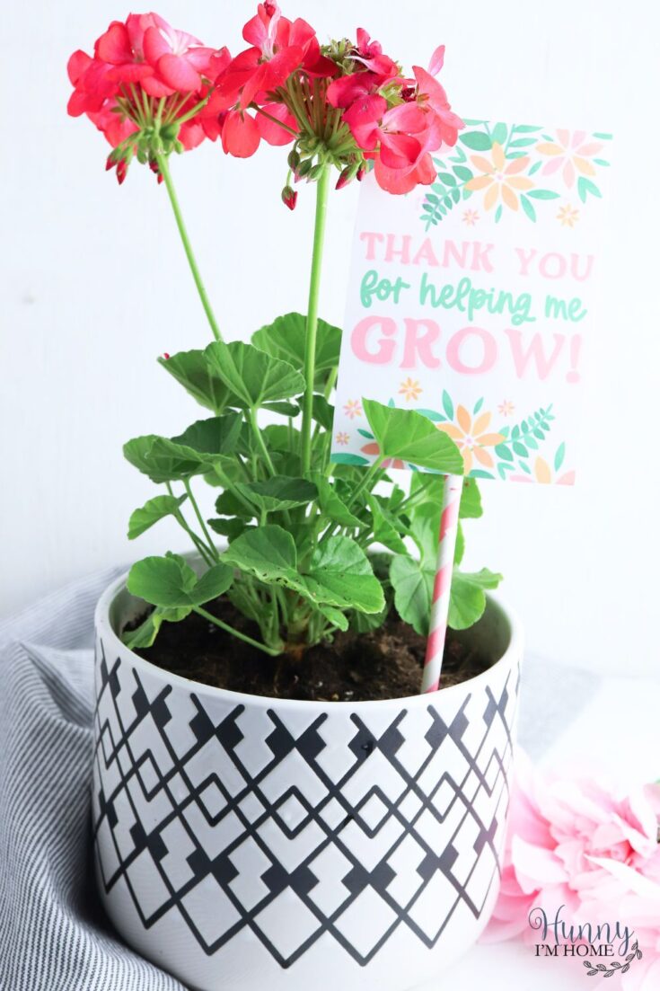 plant with note