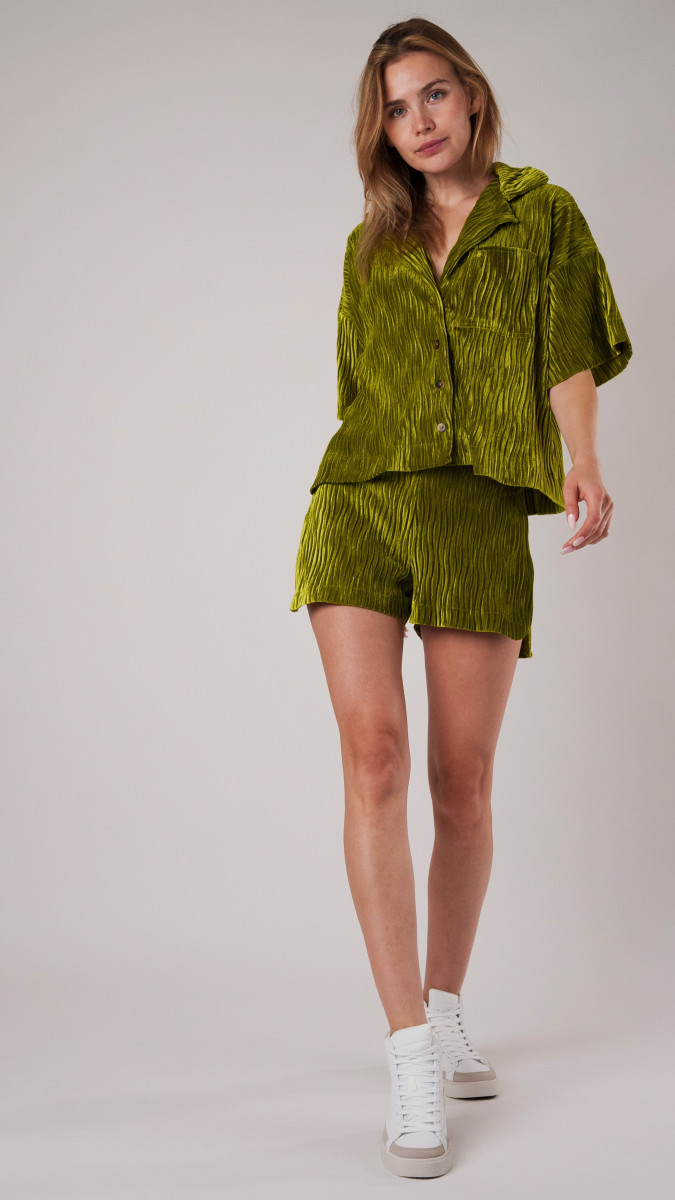 Image for The Variegata Shorts Set Free Sewing Pattern