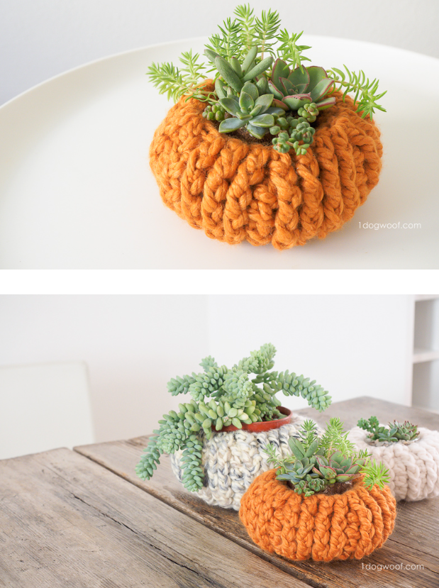 Orange crochet pumpkin-shaped basket holding a small green plant