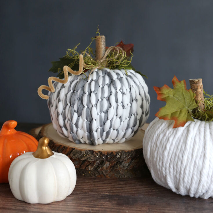Image for DIY Mop Head Pumpkins